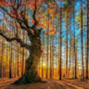 Meet your Posher, Carly